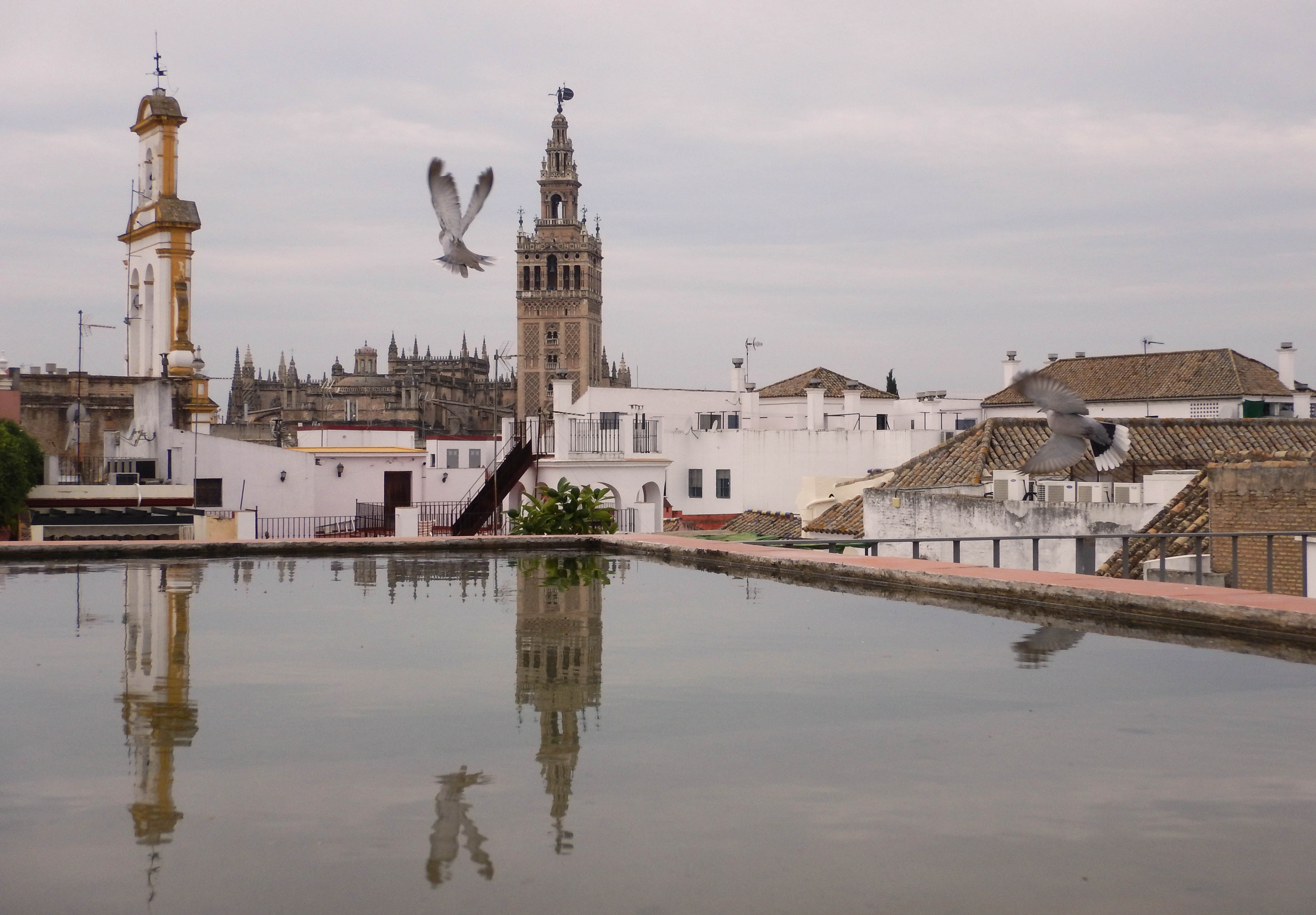 Rooftop Walking Tour Seville