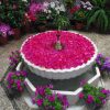 Best things to do in Cordoba
