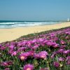 Day Tour to Explore Andalusia’s Beaches