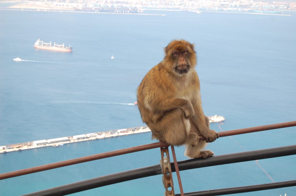 Visit to Gibraltar from Seville