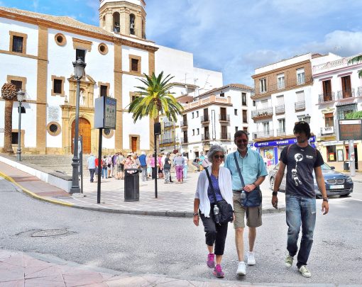 White Villages & Ronda from Seville