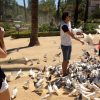 Guided bike tour Seville