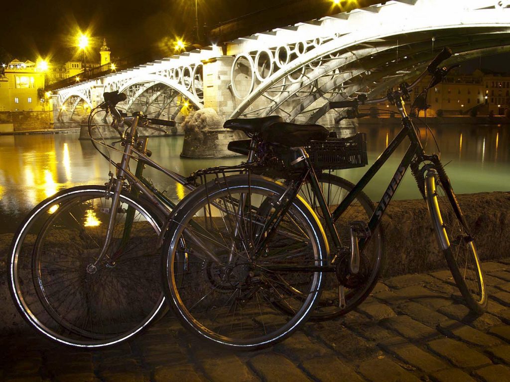 Guided bike tour Seville