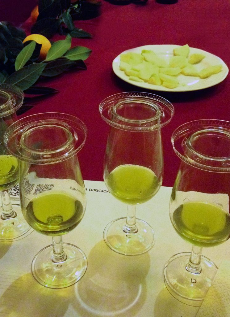 Day Trip to Carmona from Sevillle