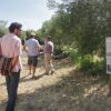 Day Trip to Carmona from Sevillle