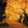 Outdoor and hiking tour from Seville