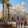Tour to Cadiz & Jerez from Seville