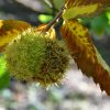 Outdoor and hiking tour from Seville