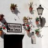 Transfer to Malaga and Ronda from Seville