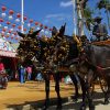 Private guided Tour to the Feria de Abril