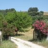 Outdoor and hiking tour from Seville