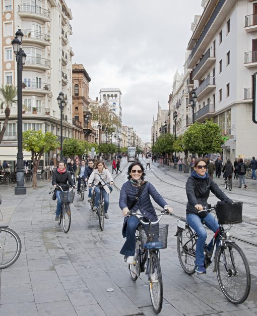 Guided e-bike tour Seville