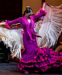 Traditional flamenco show and tapas tour in Seville