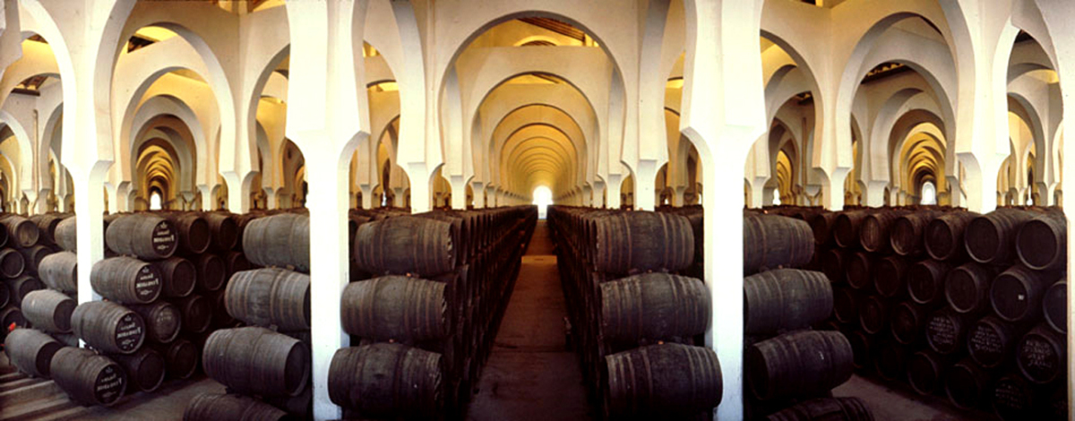 Explore Jerez’s Abundant Vineyards 