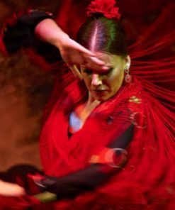 Woman dancing flamenco seville