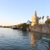 Stand up paddle surfing in the river of Seville