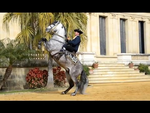 Riding a Spanish horse in Andalusia