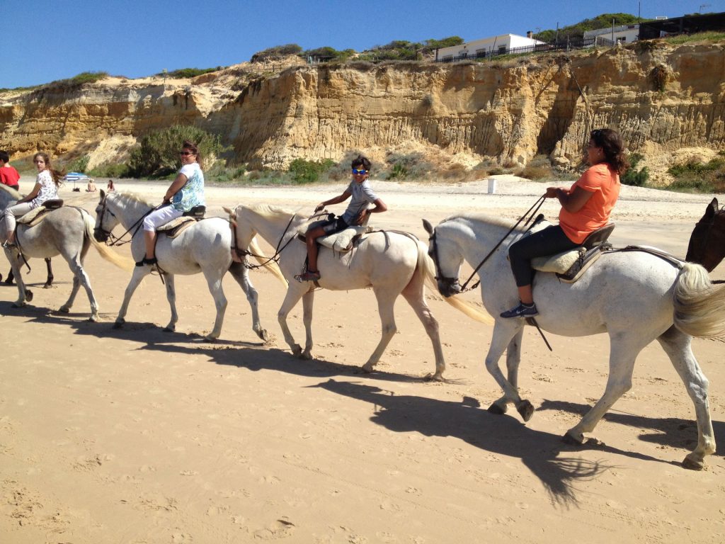 Horse riding in Doñana National park