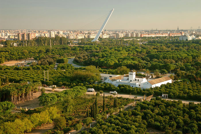 View over Alamillo park, a trip to nature inside the city