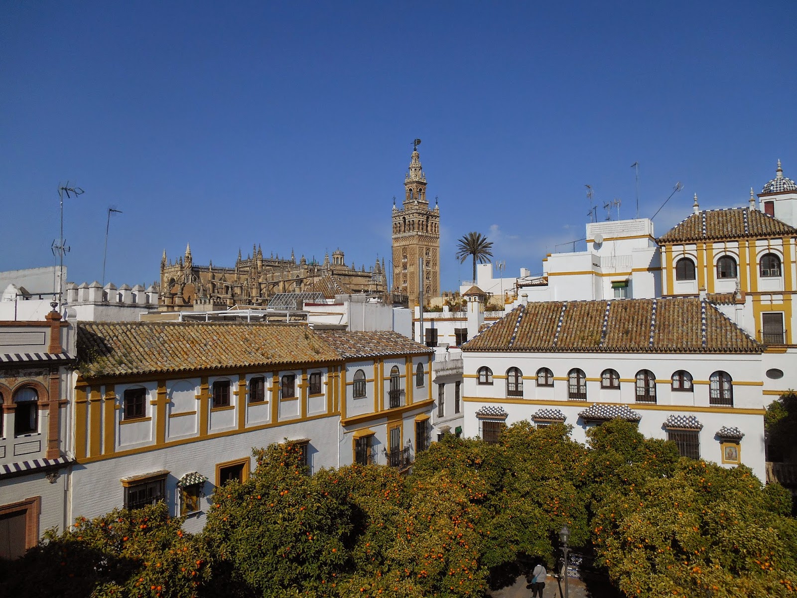 Guided tour of Jewish quarter and cathedral. Visit the lookout in Museo Pintor Amalio