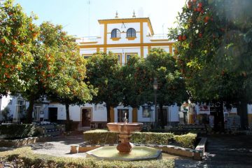 Tour the plazas of Santa cruz on a romantic tour