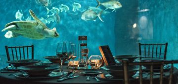 dine in luxury at the underwater restaurant