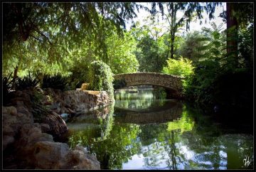 lover's retreat to maria luis park in Seville