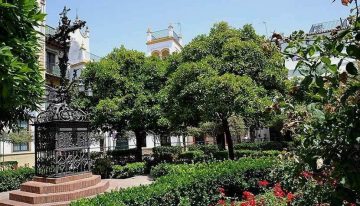 experience luxury private tour in Seville