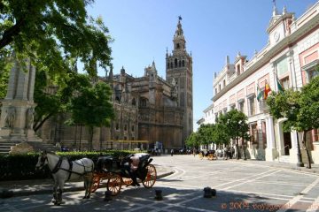 luxury visit to Seville cathedral