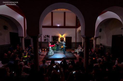 The Best Flamenco Shows To See In Seville! A Complete List Of Flamenco!