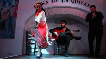 Experience flamenco culture in Seville