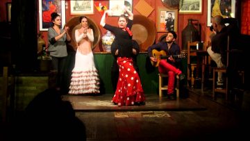 learn about flamenco culture on tapas tour