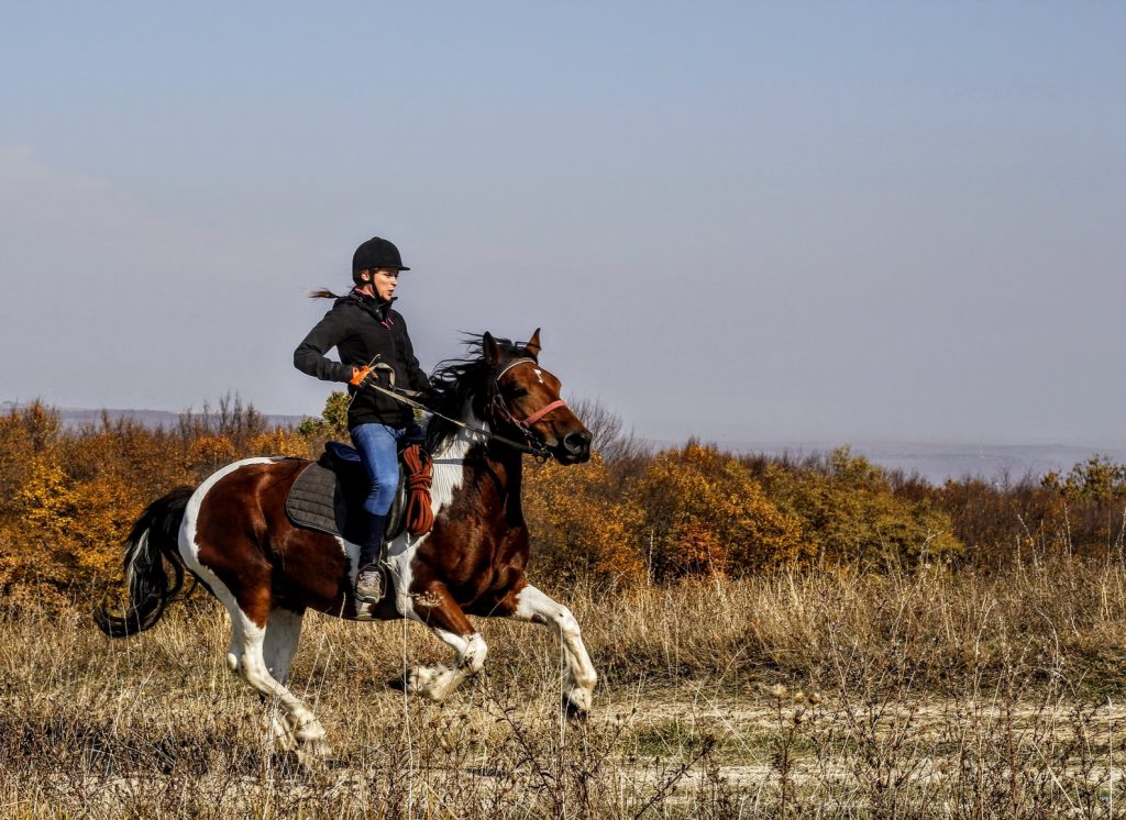 horse riding experience family ranch seville