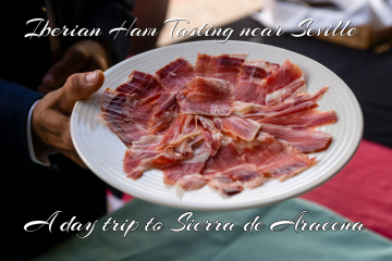 best Iberian ham tasting near Seville
