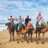 Top activities in Tangier