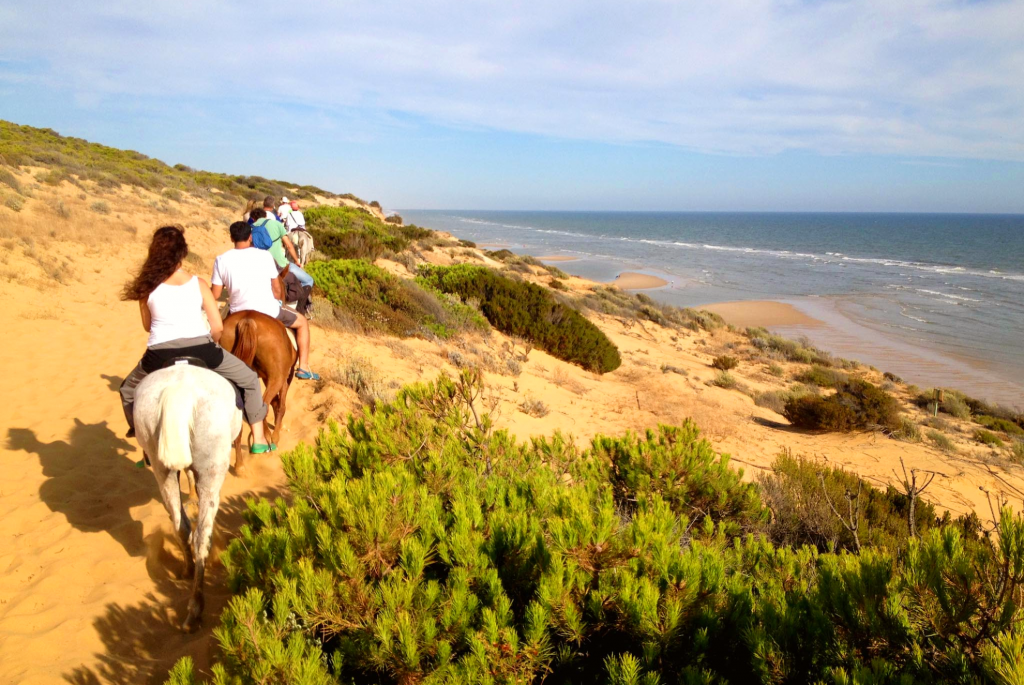 top things to do in Doñana National Park