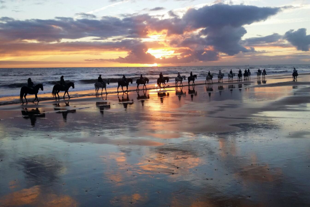 horse riding Doñana National Park