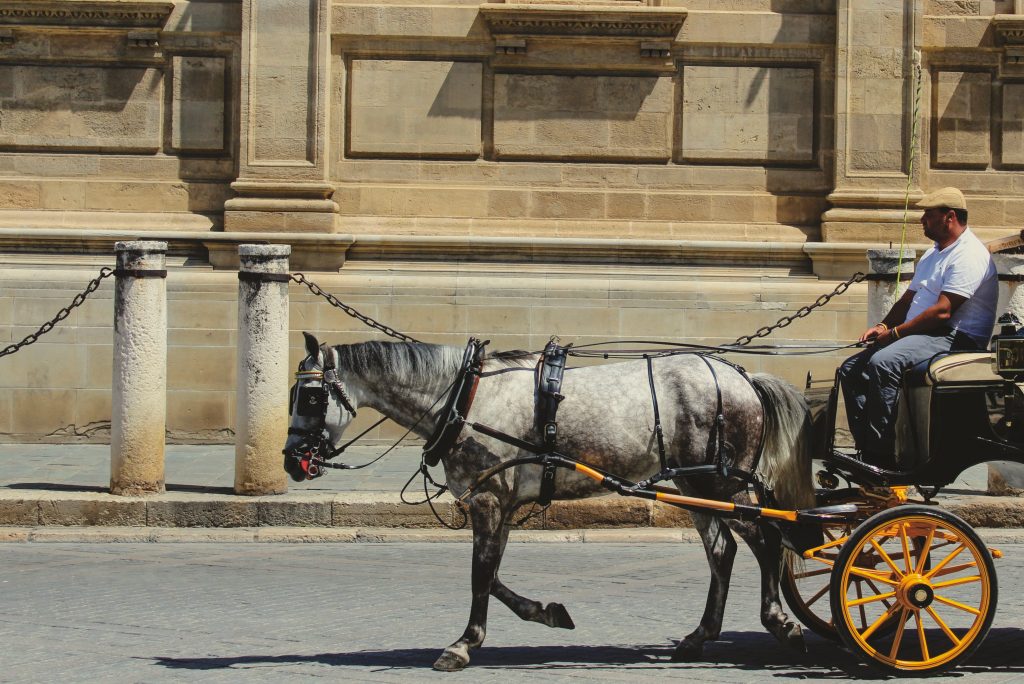 seville romantic getaway horse carriage ride