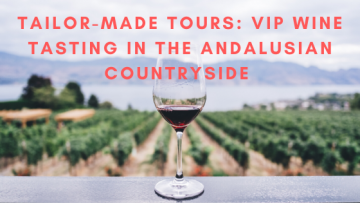 custom made wine tasting tours seville