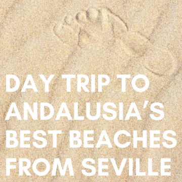 Visit the beach for a day from Seville