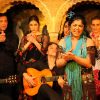 Find Gypsy flamenco in Granada walking tour