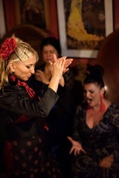 Spanish flamenco dance teacher online
