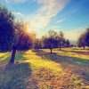 Walk through olive fields near granada on a walking tour