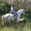 Gift idea - Horse riding in Granada