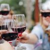 How to visit a vineyard in spain