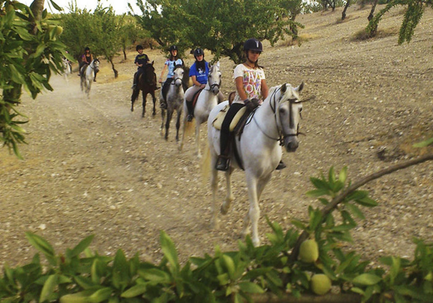 Horse riding in Granada for families