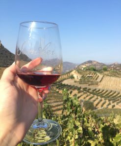Wine tasting online food tour in Seville