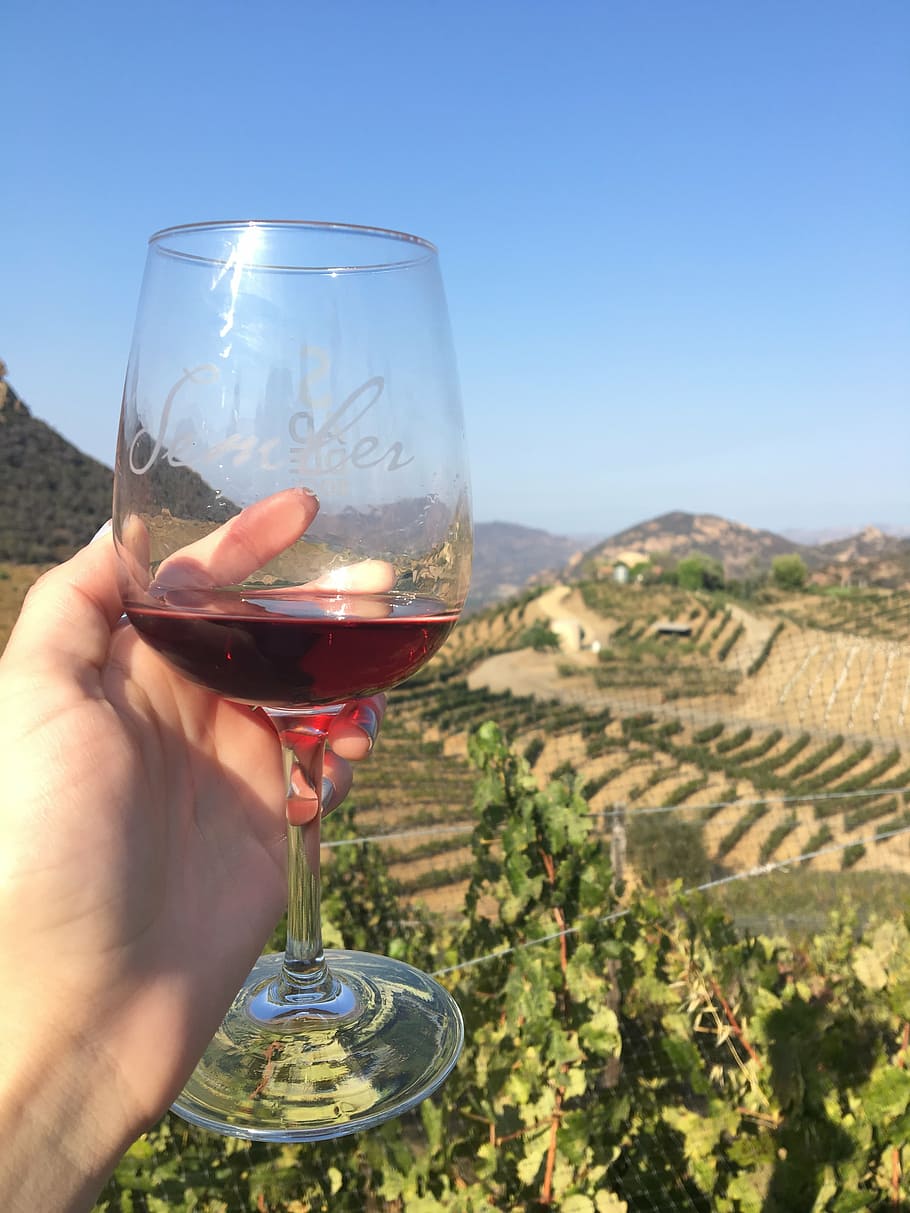 Wine tasting online food tour in Seville