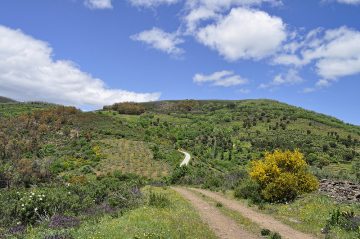 Hiking routes near Seville