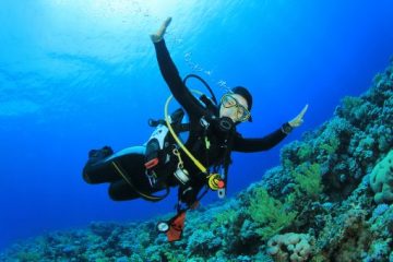 Diving experiences in Southern Spain